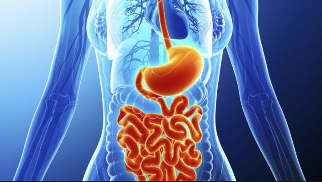 Gastro Care